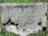 image of grave number 101548